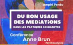 Du bon usage des médiations dans les pratiques soignantes Du bon usage des médiations dans les pratiques soignantes