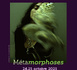 https://www.sfpeat.com/Metamorphoses-Revue_a608.html