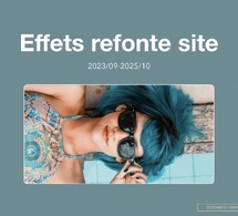 Effets de la refonte du site SFPE-AT, octobre 2025